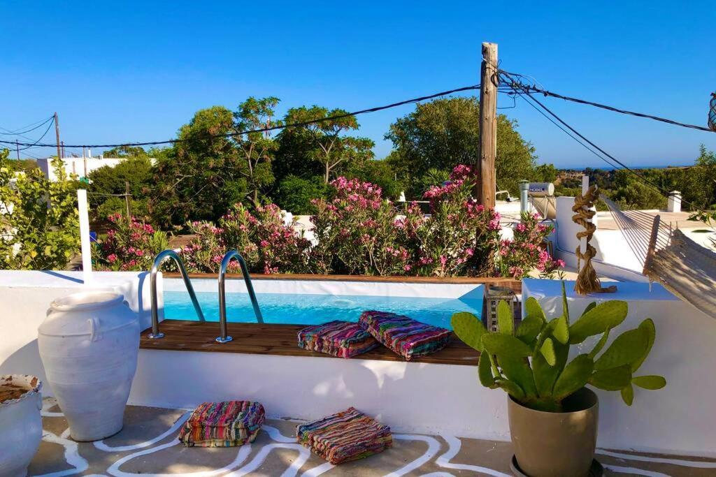 The Summer Pink House Lachaniá Buitenkant foto