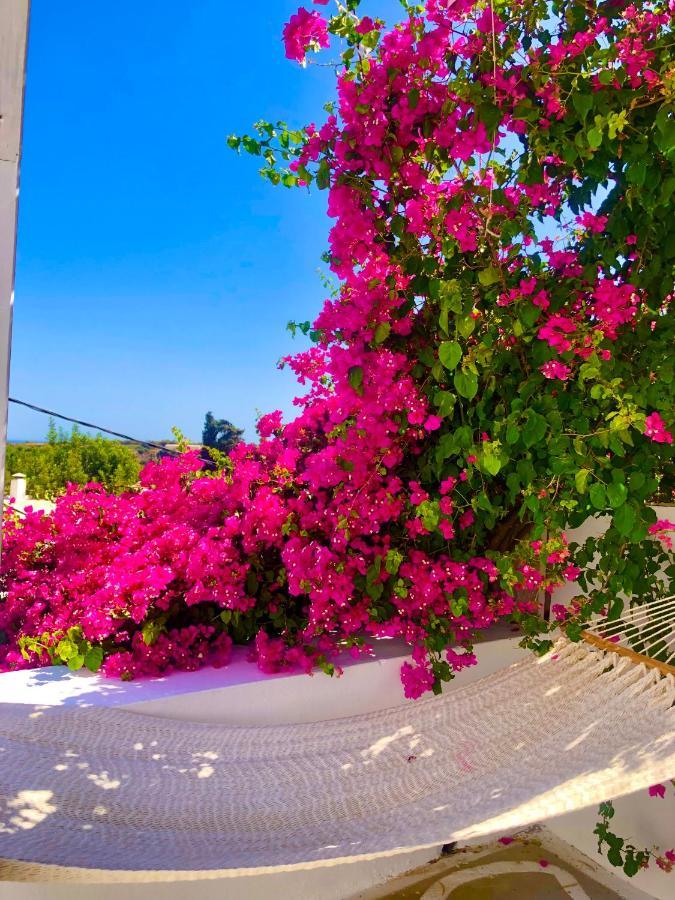 The Summer Pink House Lachaniá Buitenkant foto